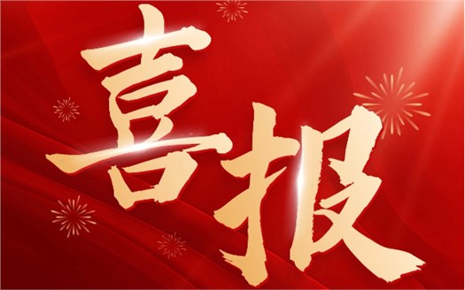 集團(tuán)榮膺2025中國(guó)民營(yíng)企業(yè)500強(qiáng)第249位，制造業(yè)民營(yíng)企業(yè)500強(qiáng)第177位，排名較去年雙雙大幅提升
